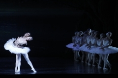 Лебединое озеро